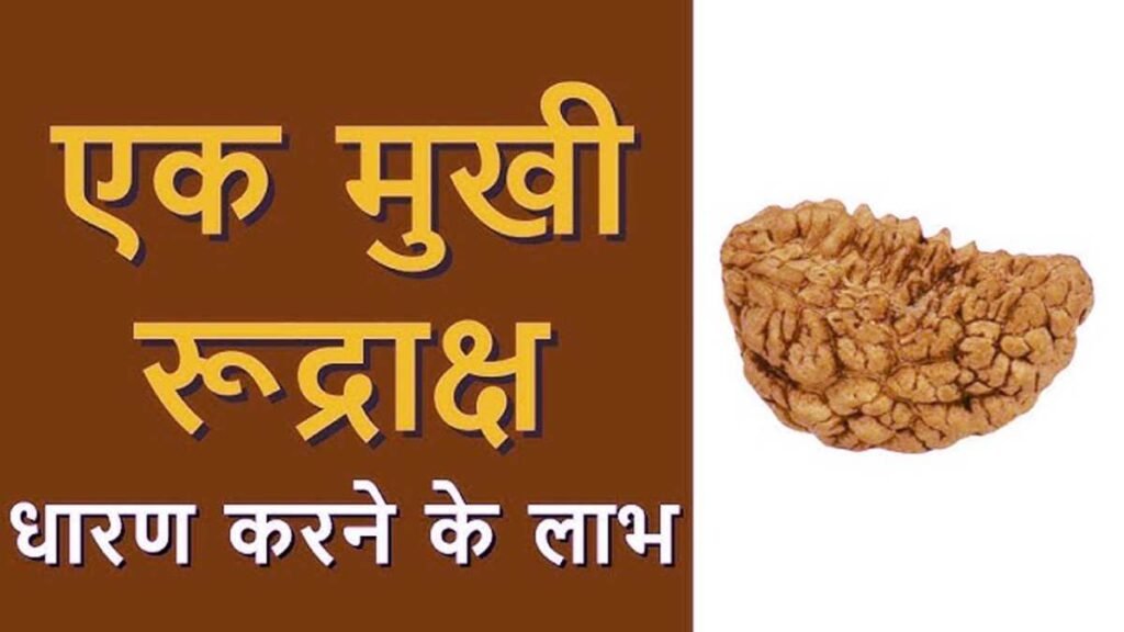 Benefits of 1 Mukhi Rudraksha