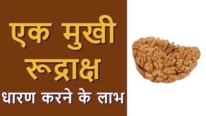 Benefits of 1 Mukhi Rudraksha
