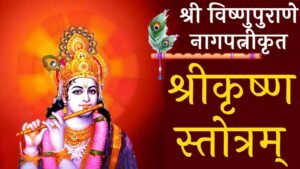 Nagapatni Krita Krishna Stotram