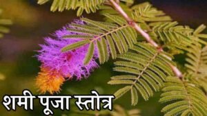 Shami Puja Stotram