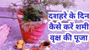 Shami Puja Vidhi