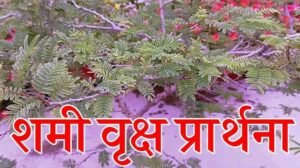 Shami Vriksha Prarthana