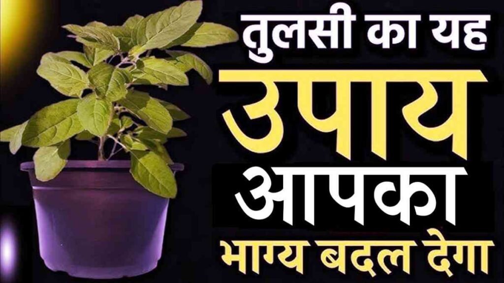 Tulsi Ke Upay