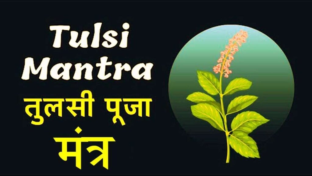 Tulsi Puja Mantra
