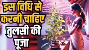 Daily Tulsi Puja Vidhi