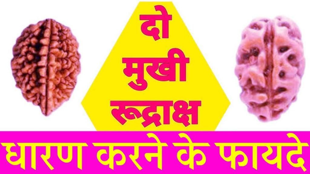 Benefits of 2 Mukhi Rudraksha