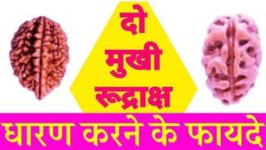 Benefits of 2 Mukhi Rudraksha